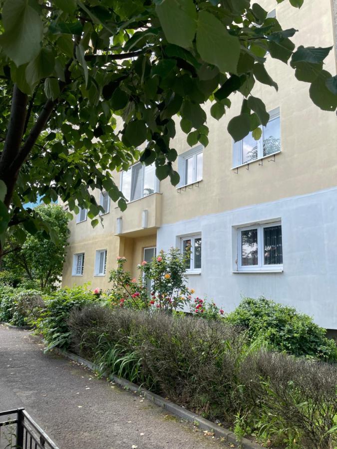 Ego Deluxe Apartment - Central Location Sibiu Esterno foto